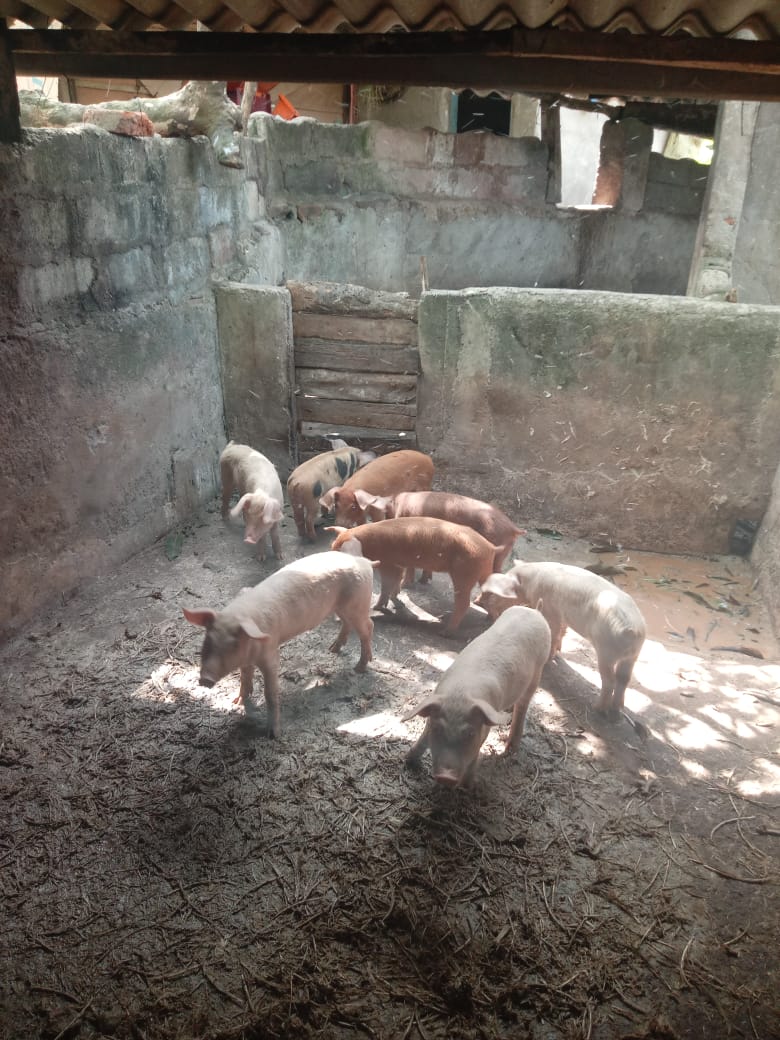 රශ්මි නිෂ්පාදන