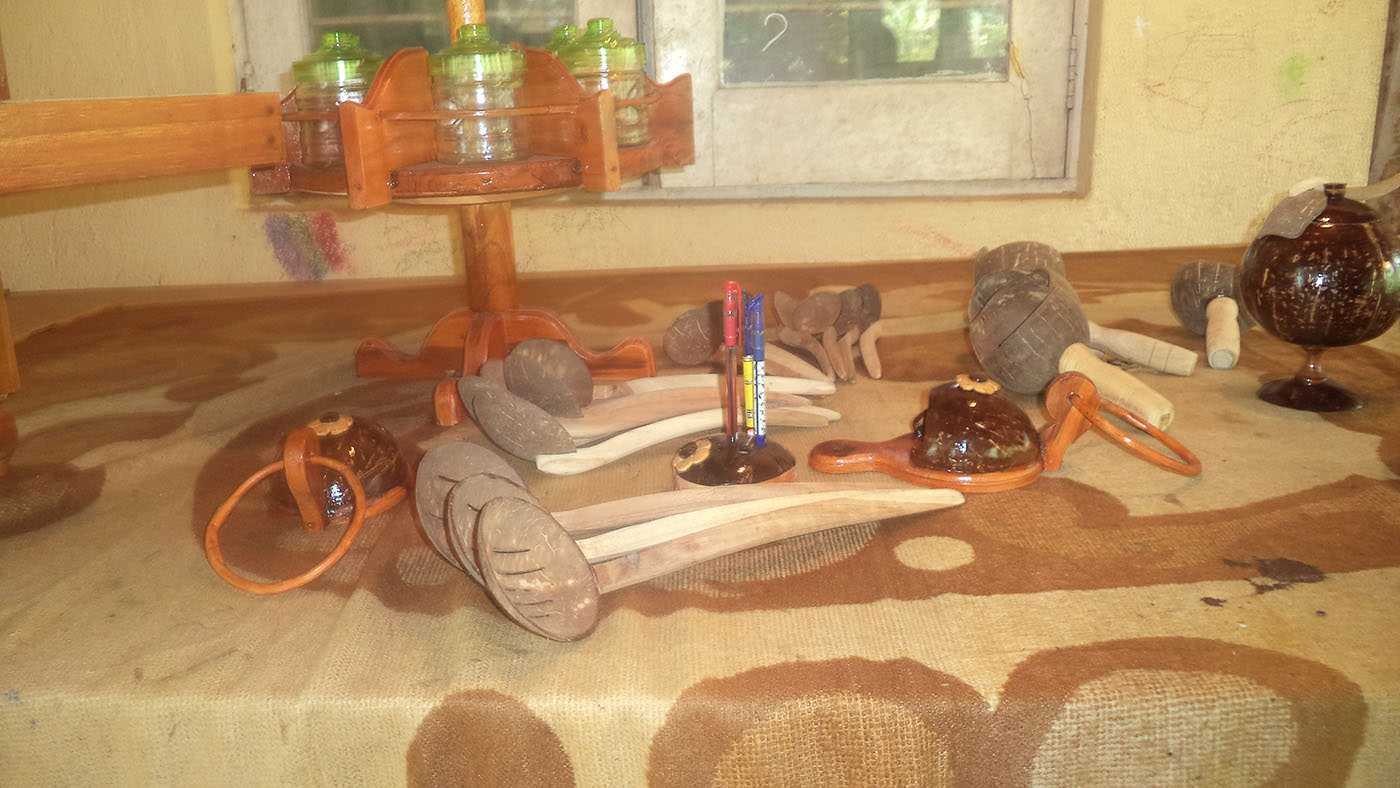 Amla Coconut Shell Creation