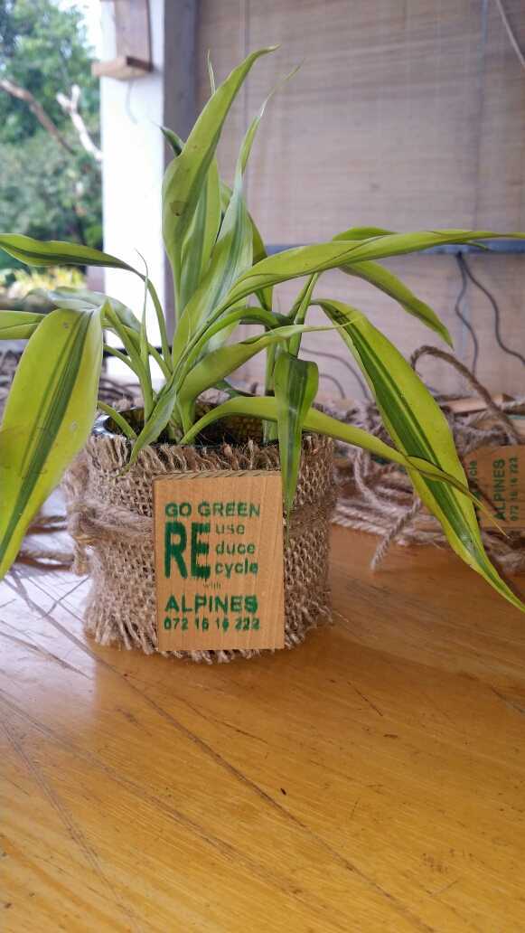 ALPINES AGRO INVESTMENT (PVT) LTD