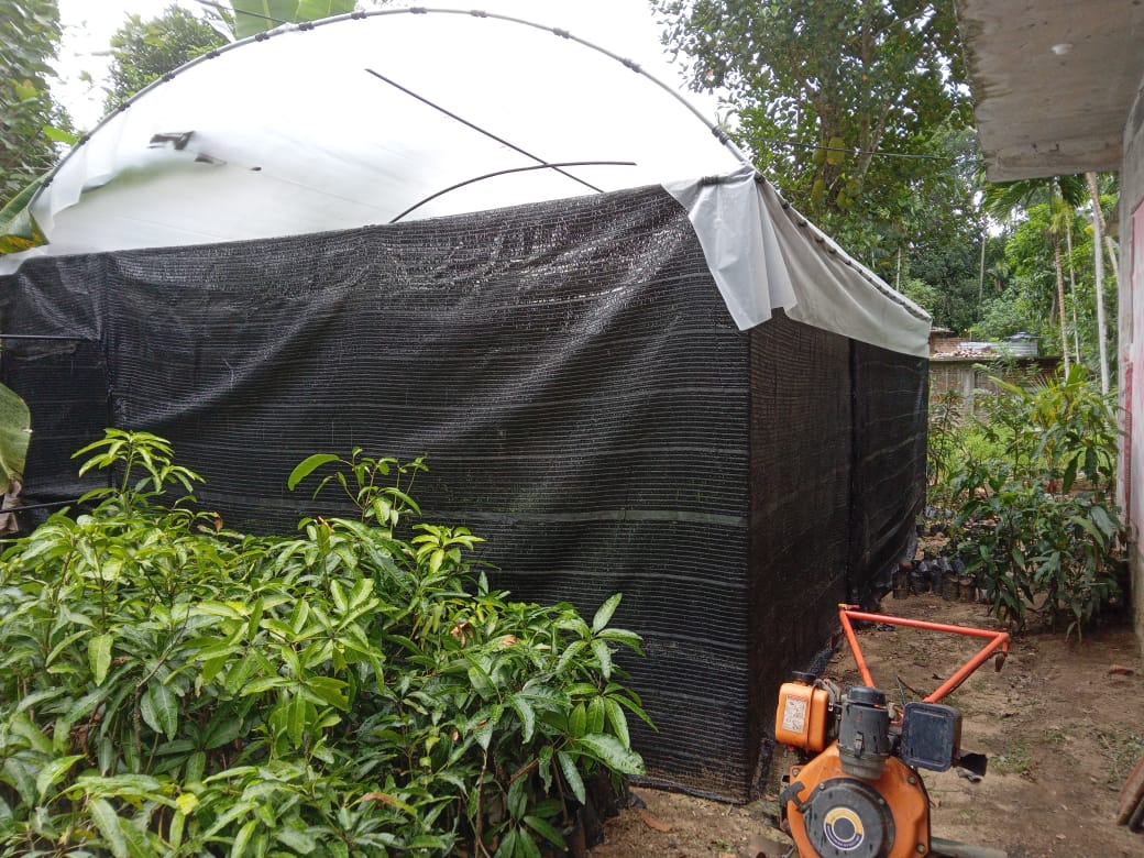 අදීශ ගගනොද්ය (අදීශ පැල තවාන්)