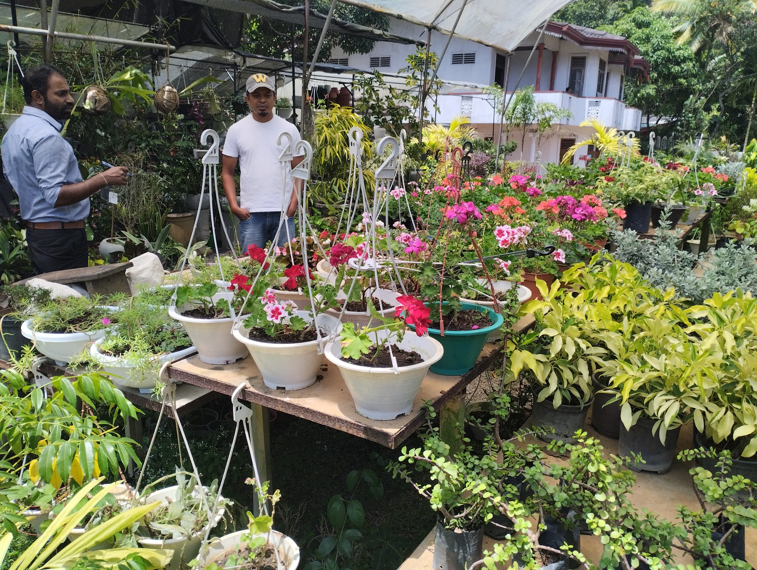 Vindiv Flower House