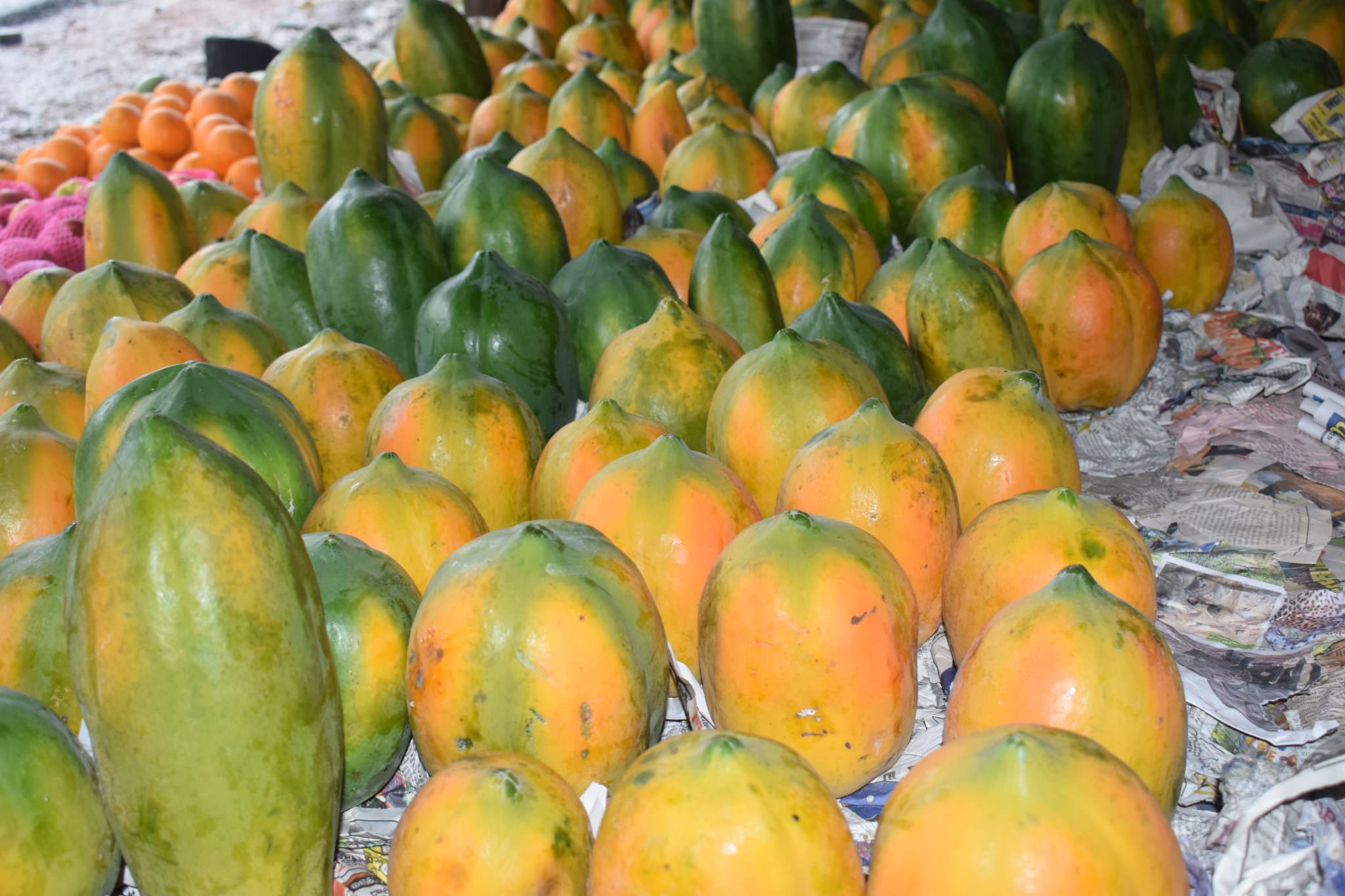 Suranga Farm
