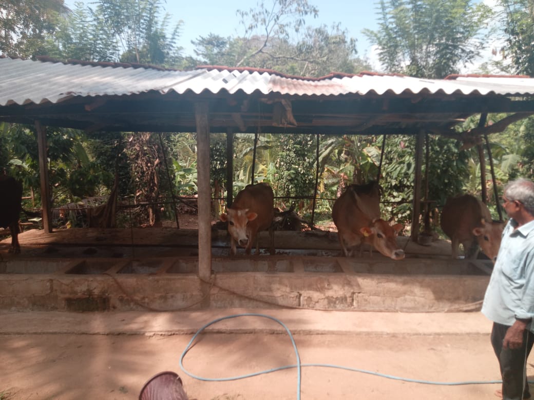 රශ්මි නිෂ්පාදන