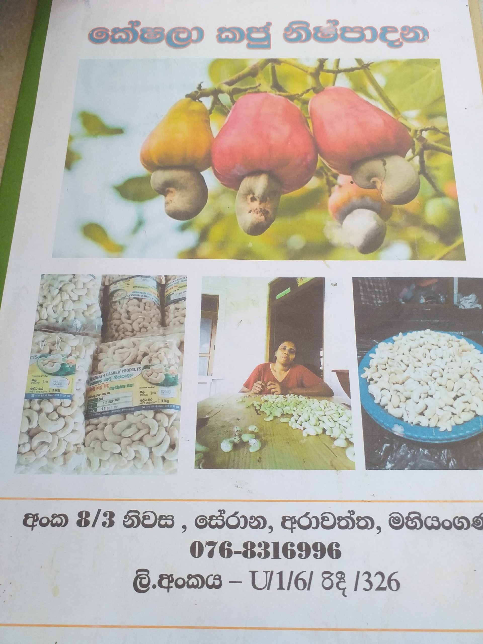 කේෂලා කජු නිෂ්පාදන