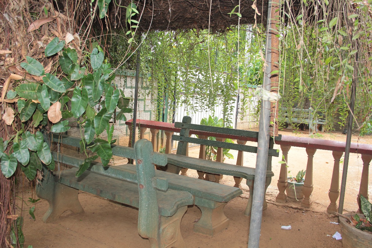 Elephant Fence Guest &amp; safari service