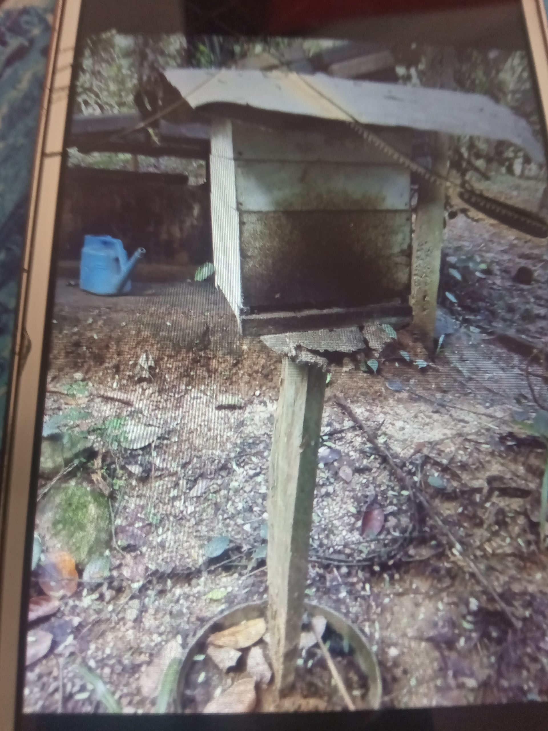 මී මැසි පාලනය පොල්ගහපිටිය