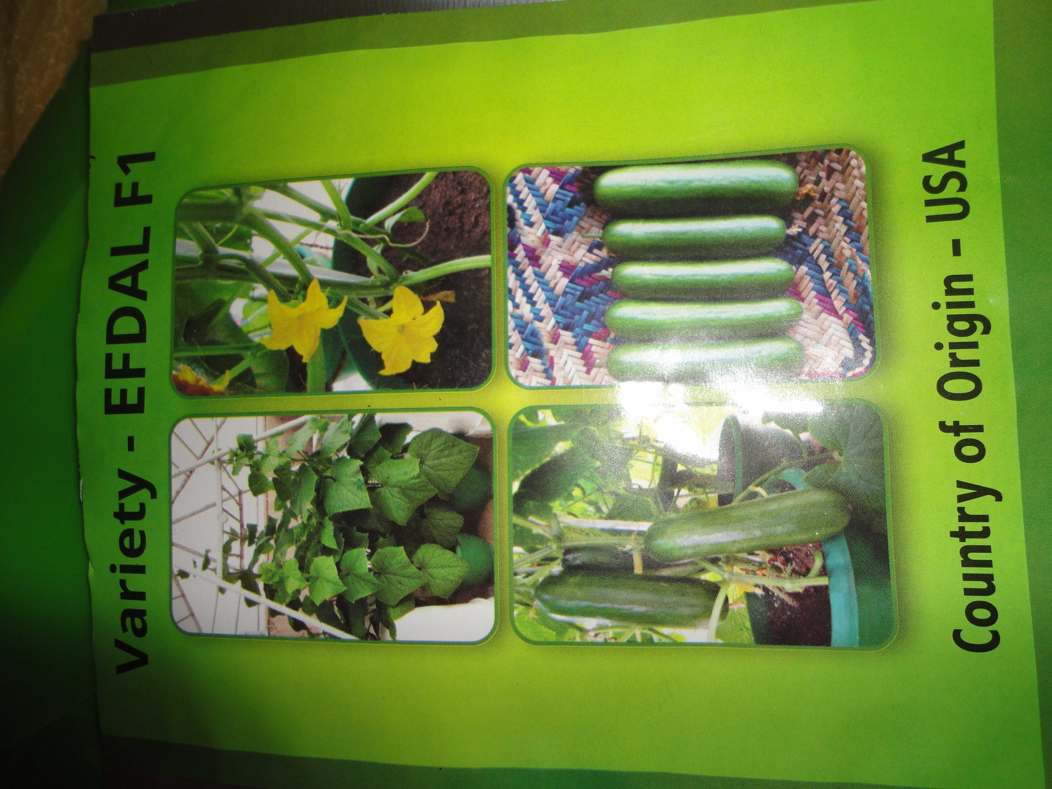 බණ්ඩාර හරිතාගාර නිෂ්පාදන