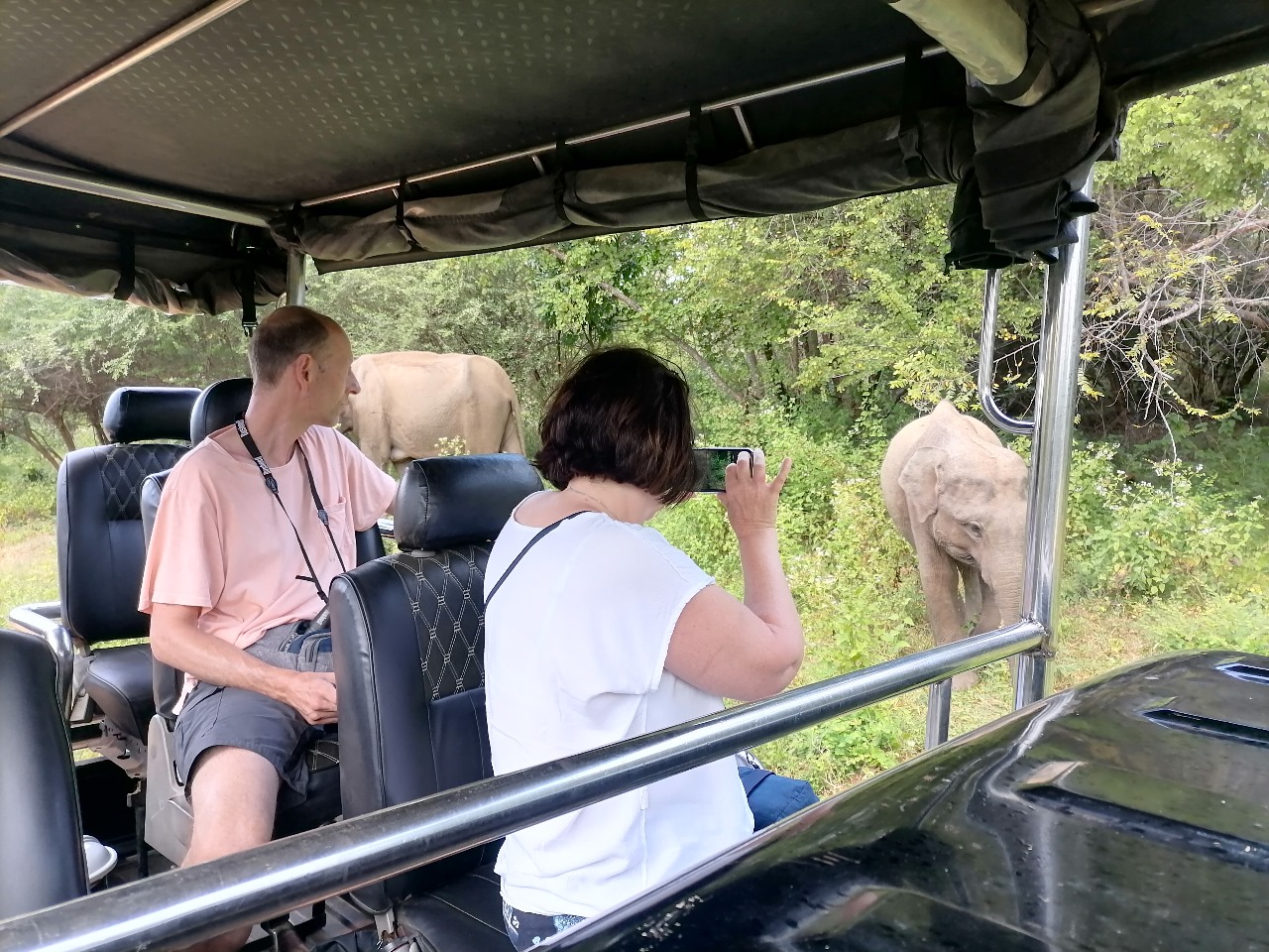Premadasa Safari Udawalawa