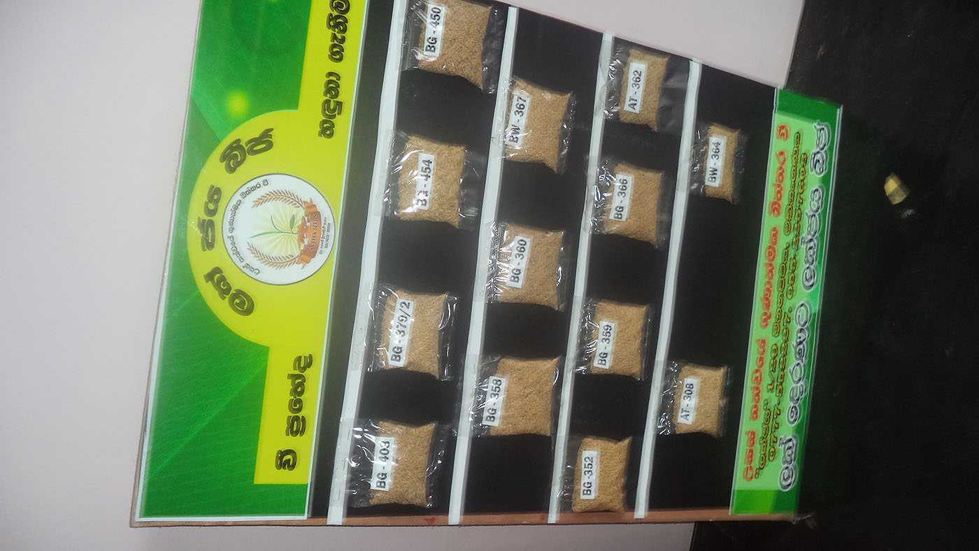 Lakjaya Seeds Production