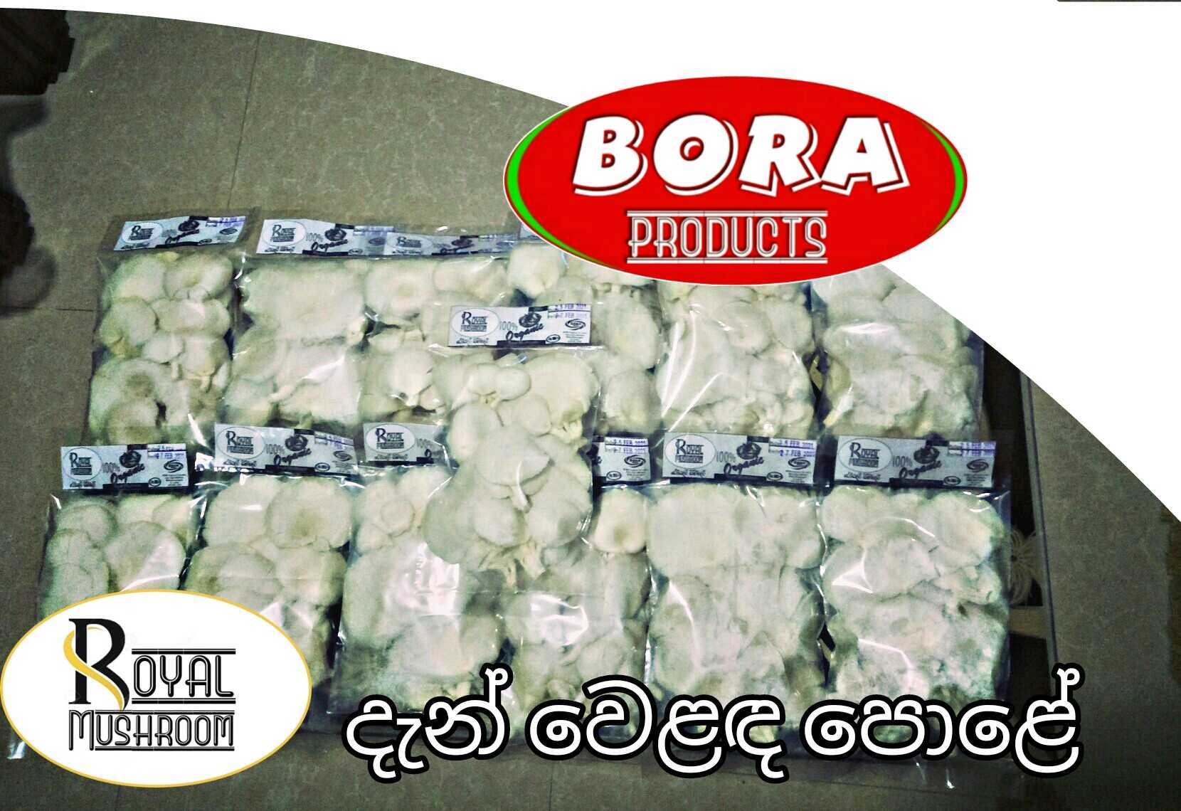 Bibile