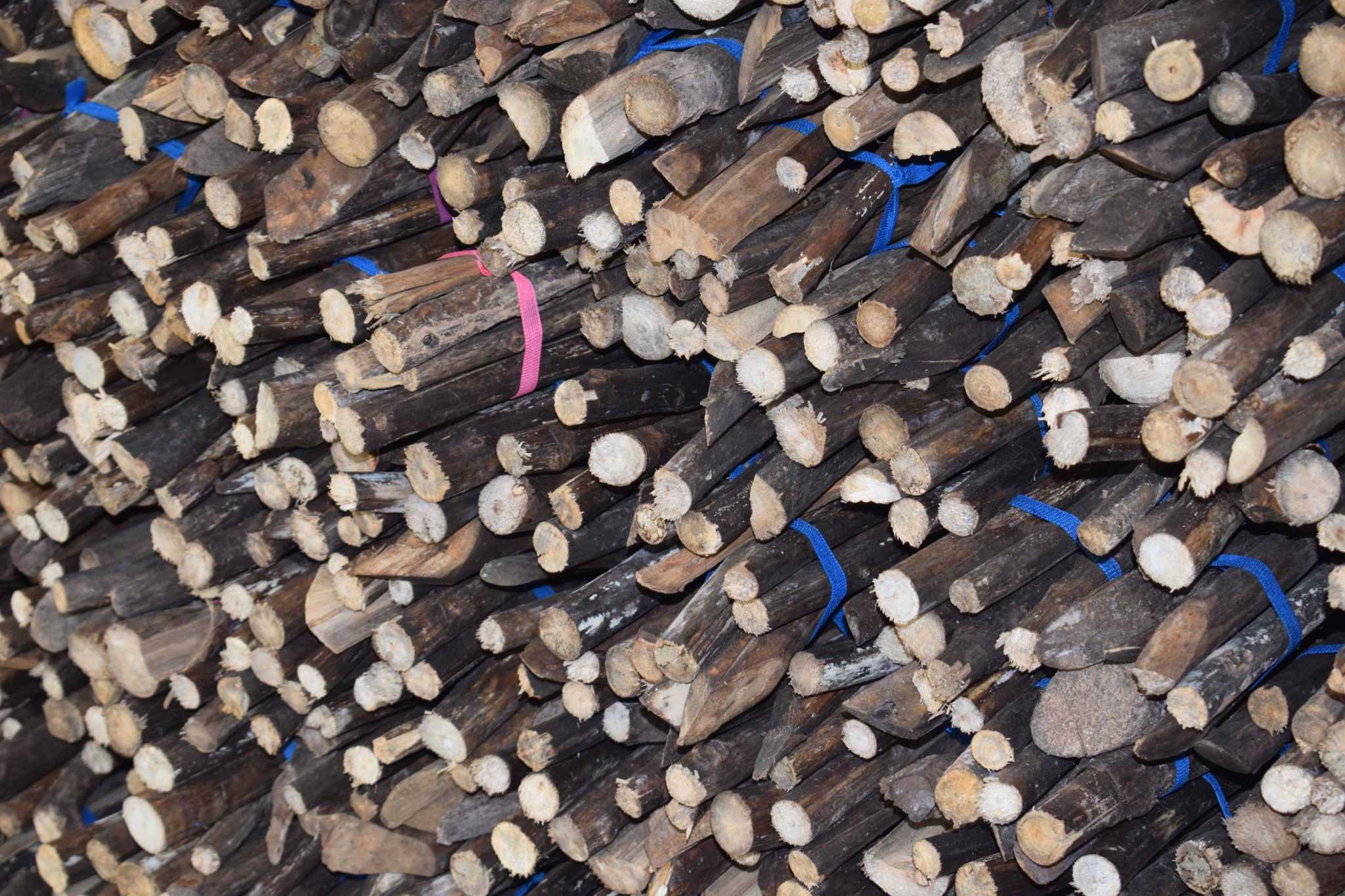 Wasantha Cinnamon Production