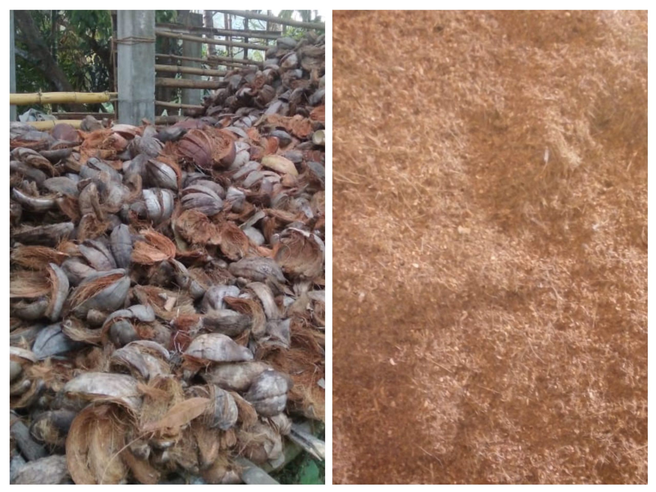 පොල් ලෙලි ඇඹරුම් හල