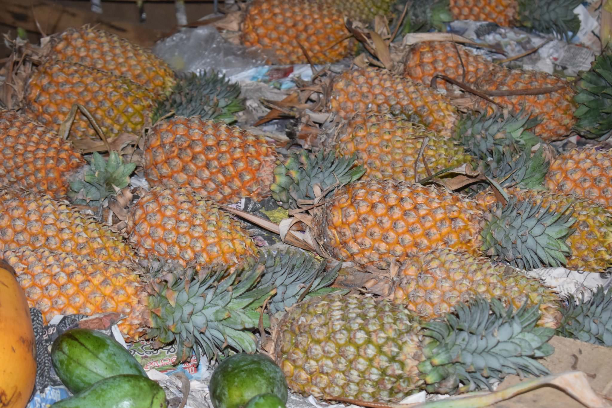 Suranga Farm