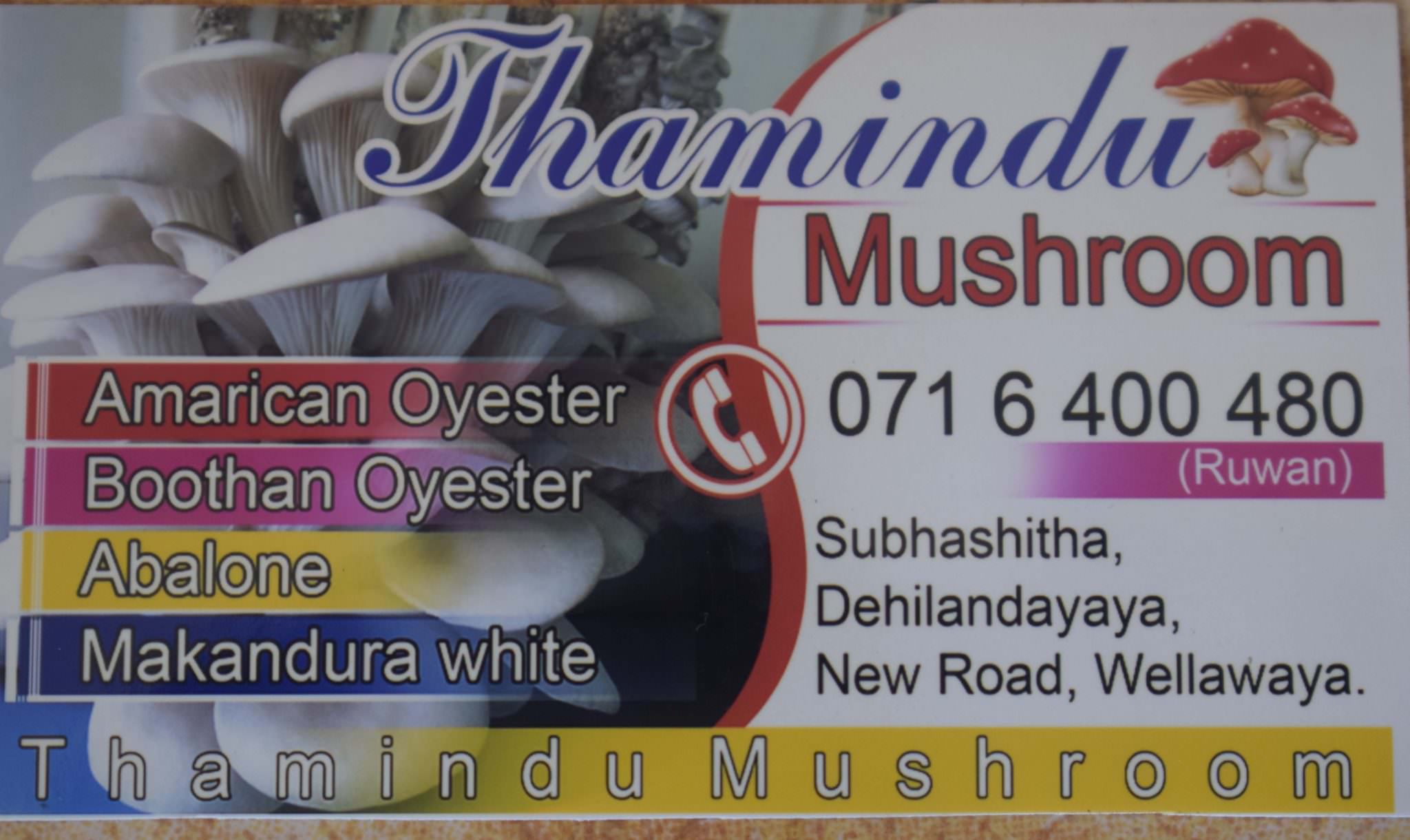 THAVINDU MUSHROOM PRODUCTIONS