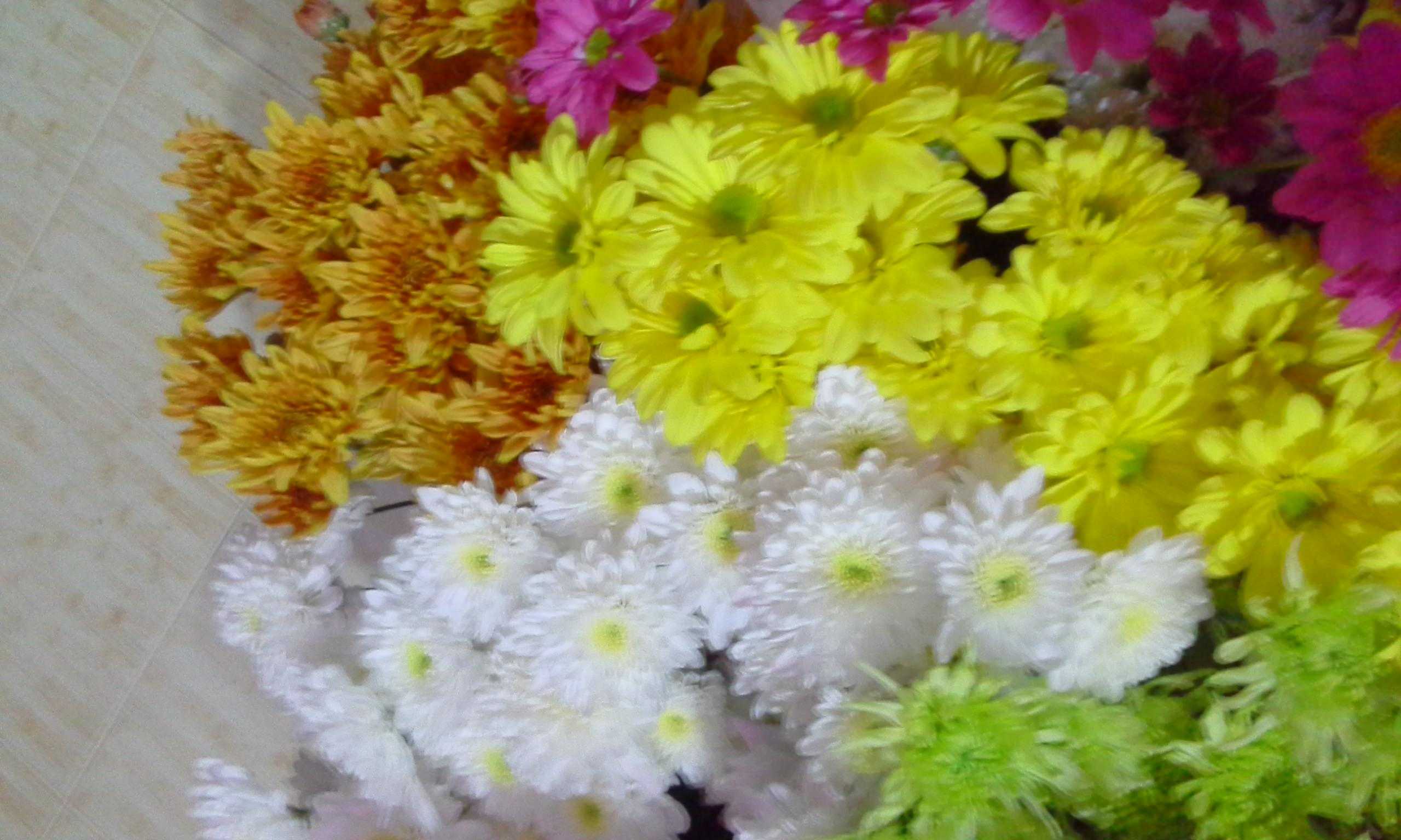 Vimandee Flora &amp; Plant Nursary