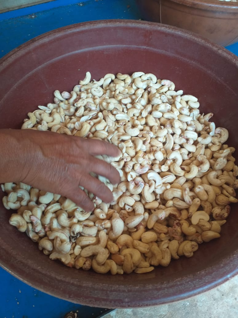 කේෂලා කජු නිෂ්පාදන