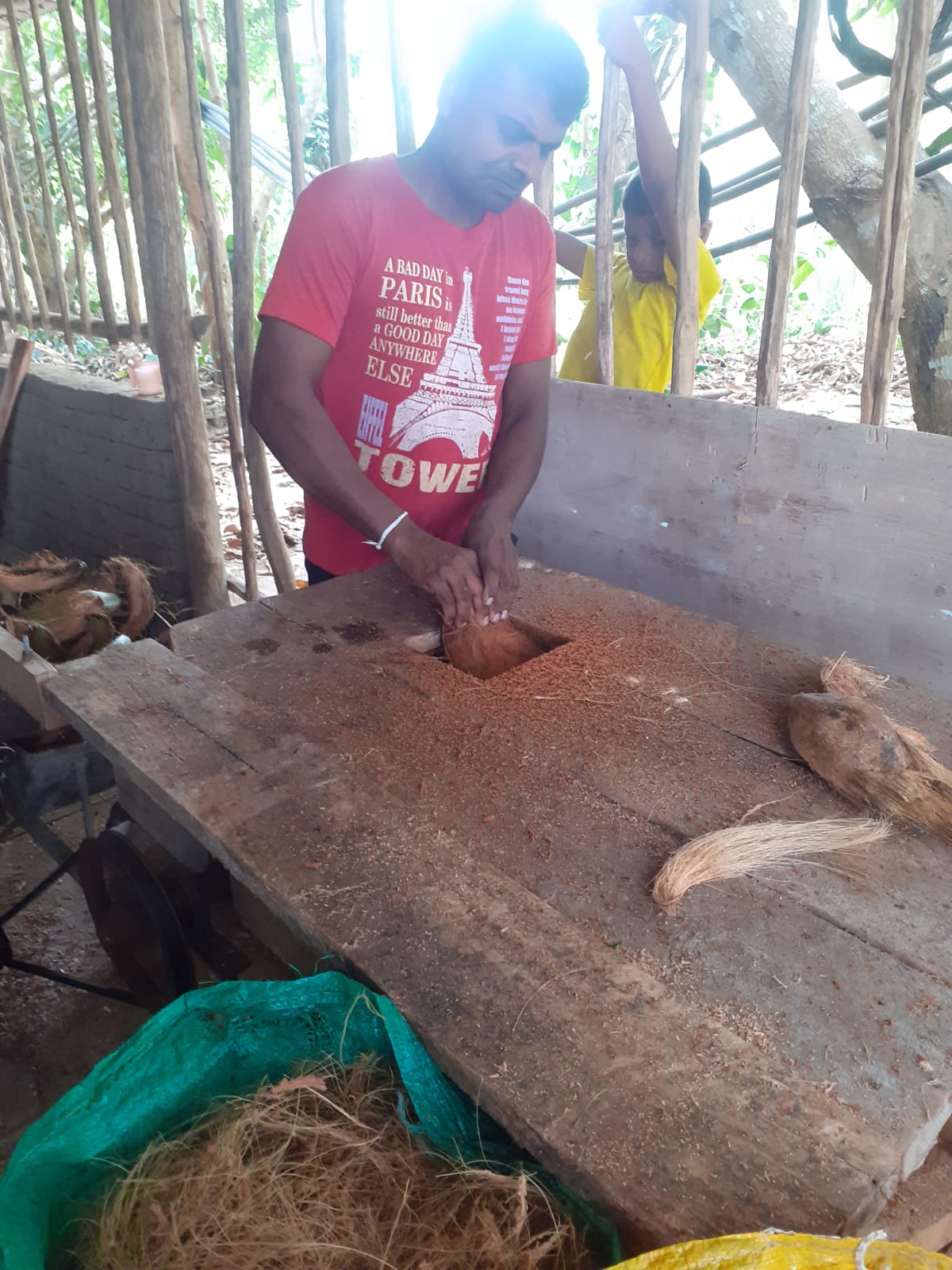 ඩි.එම්.නිශ්ශංක