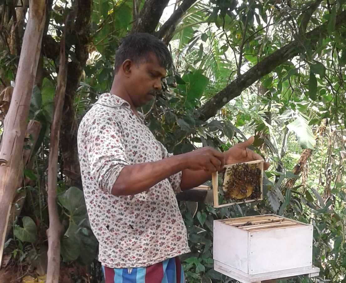 Uva Bee's Products