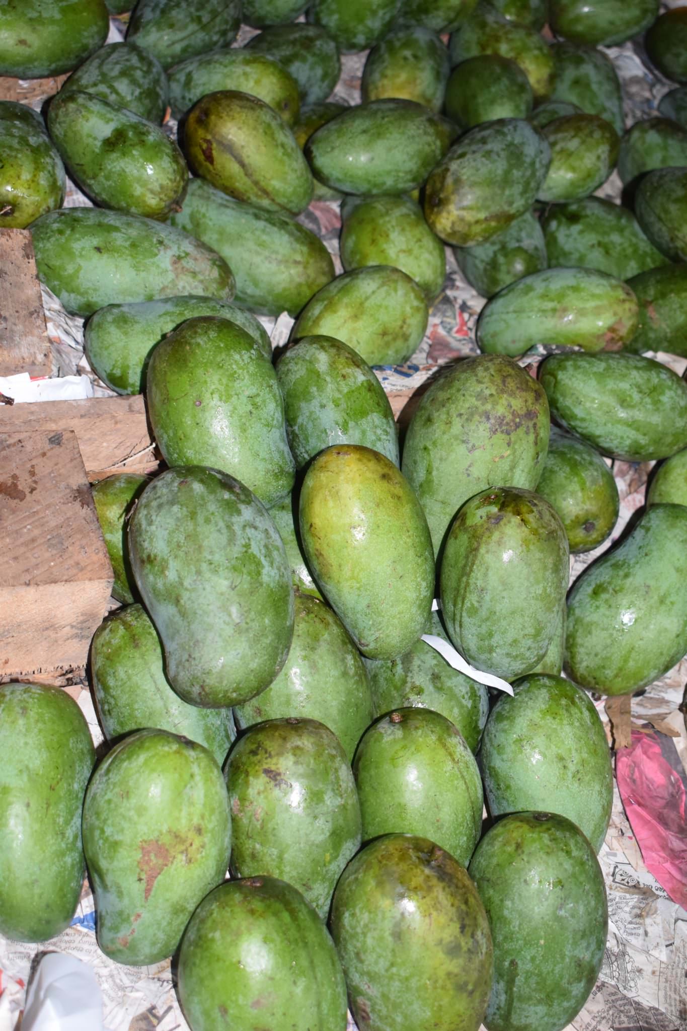 Suranga Farm