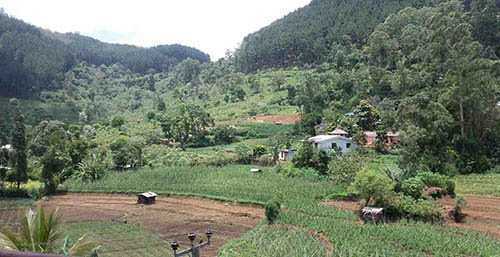Diyathalawa Holiday Home