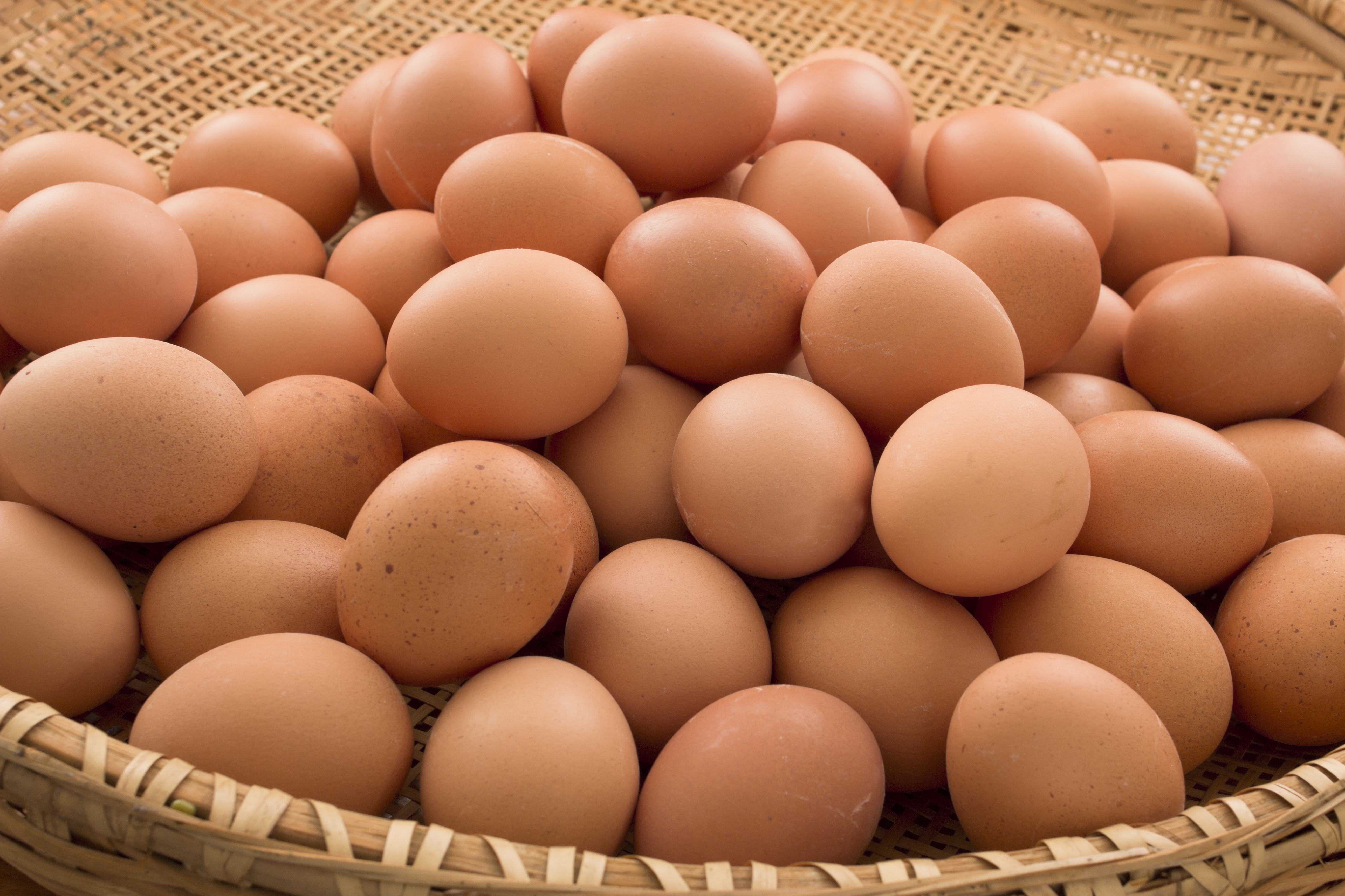 Nikapotha Eggs