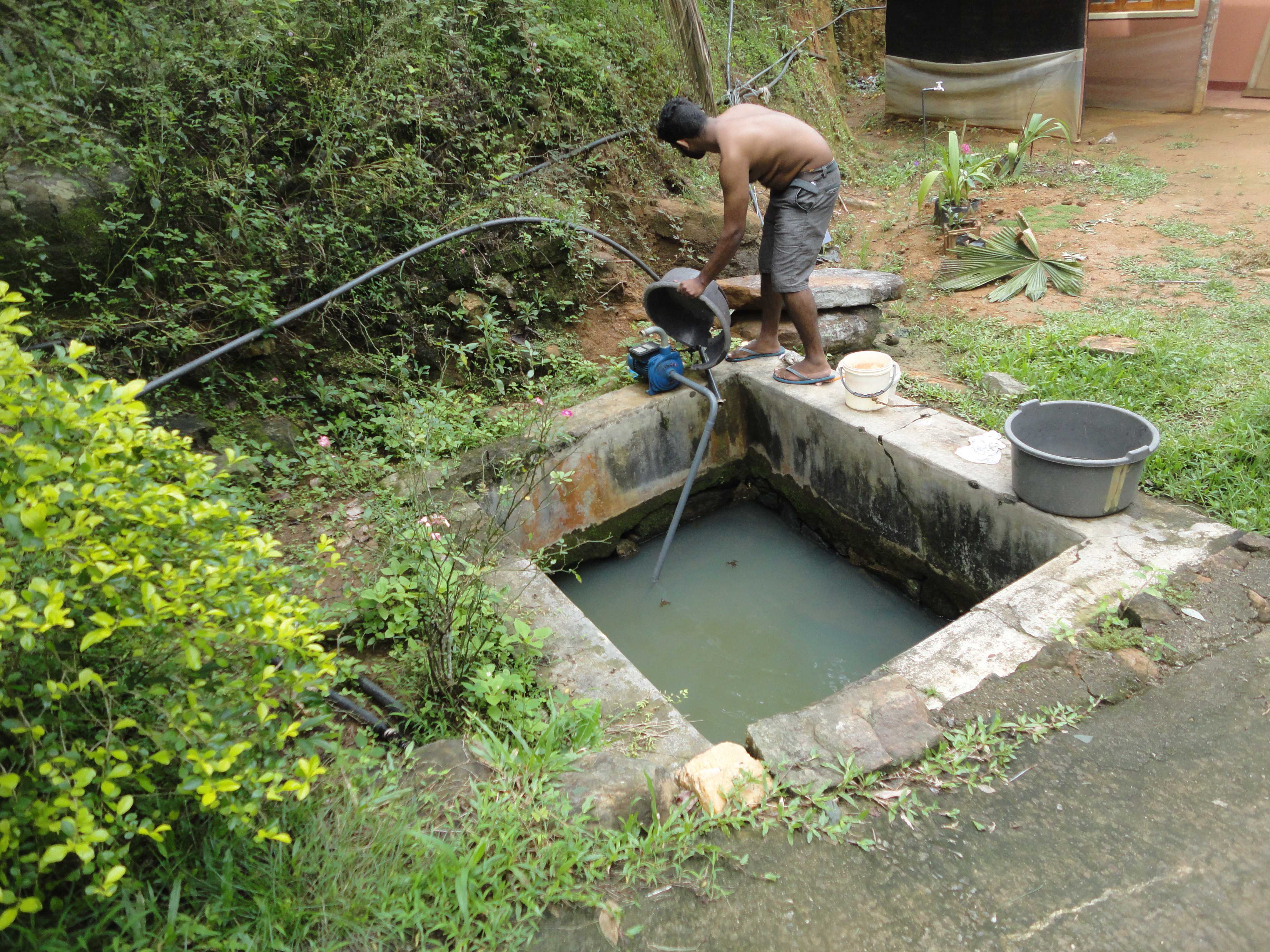 නිසංසල හරිතාගාර නිෂ්පාදන