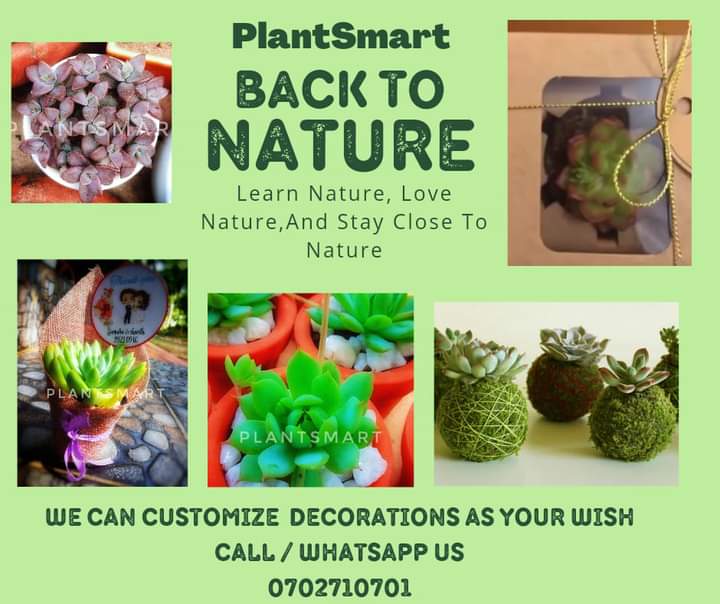 plantSmart
