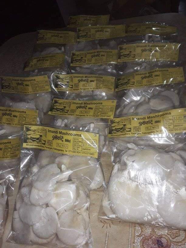 ඉමන්දී බිම්මල්