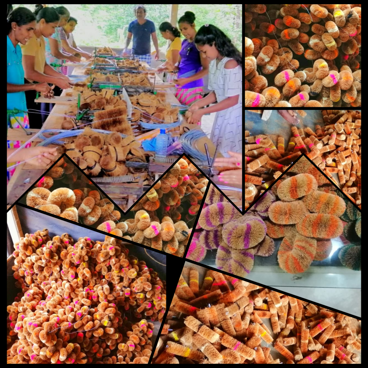 කොහු අාශ්රිත නිෂ්පාදන