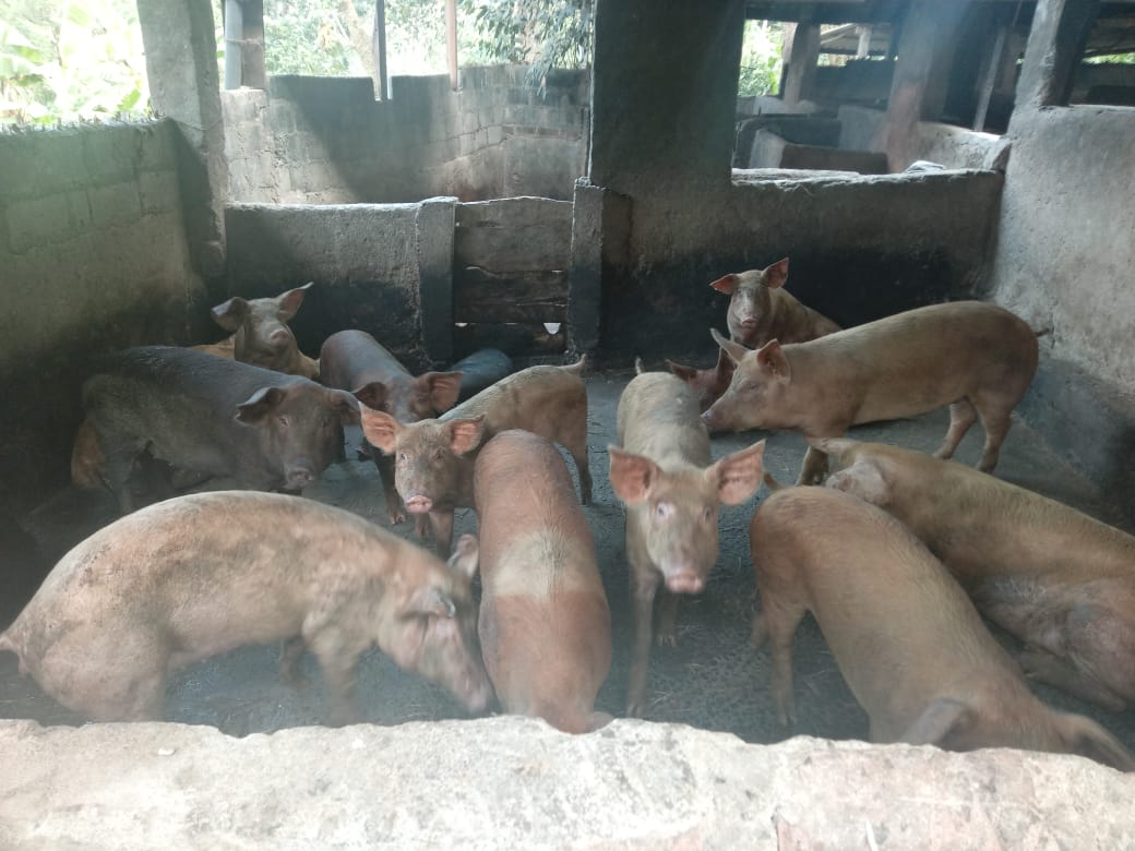 රශ්මි නිෂ්පාදන
