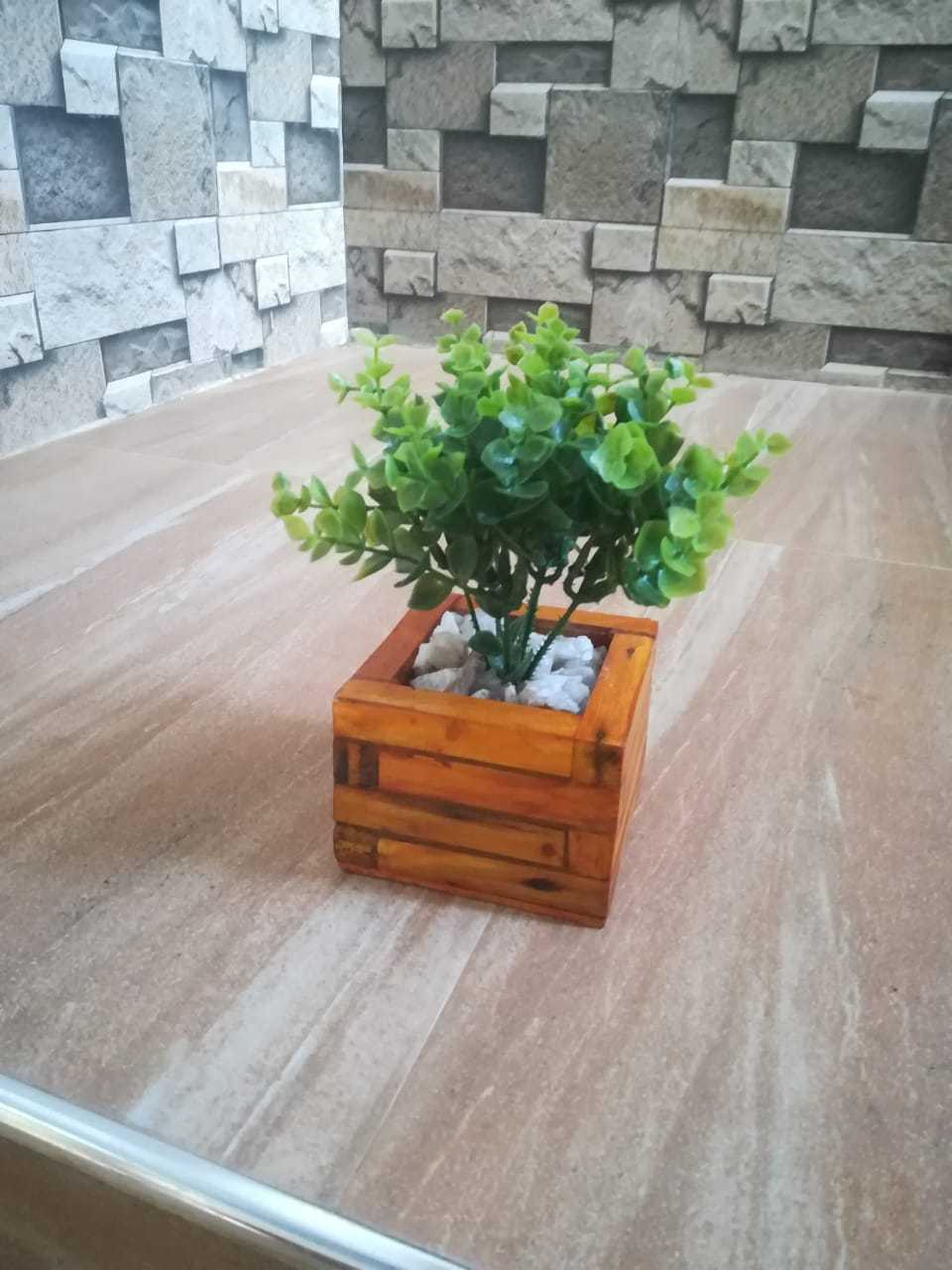 Nimsara collection