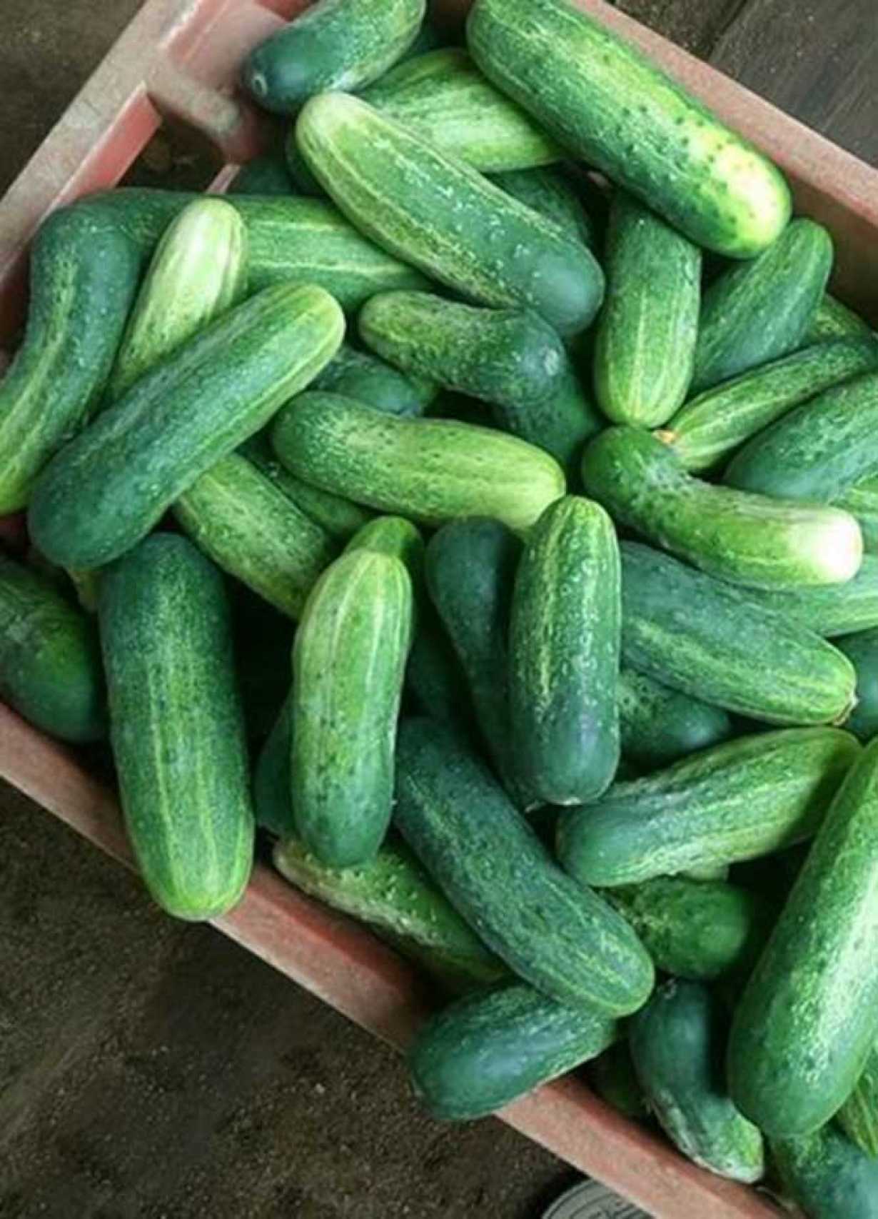 Nishantha Agro Products