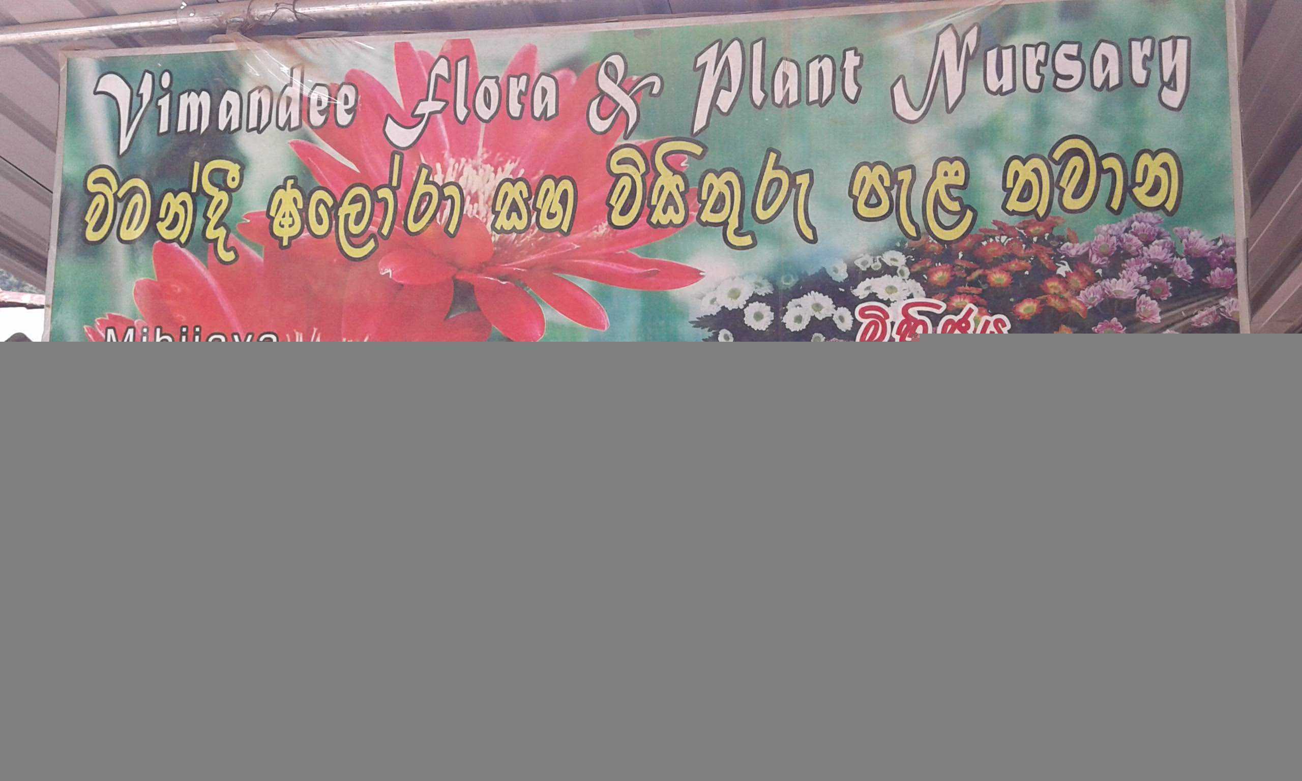 Vimandee Flora &amp;  Plant Nursery