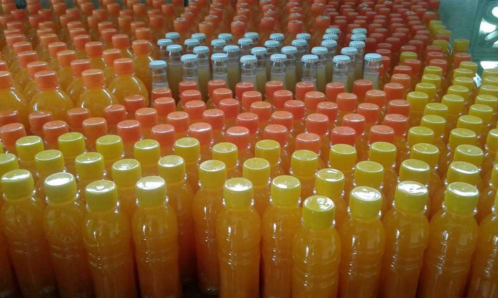 Shamin Lanka Fruit Product