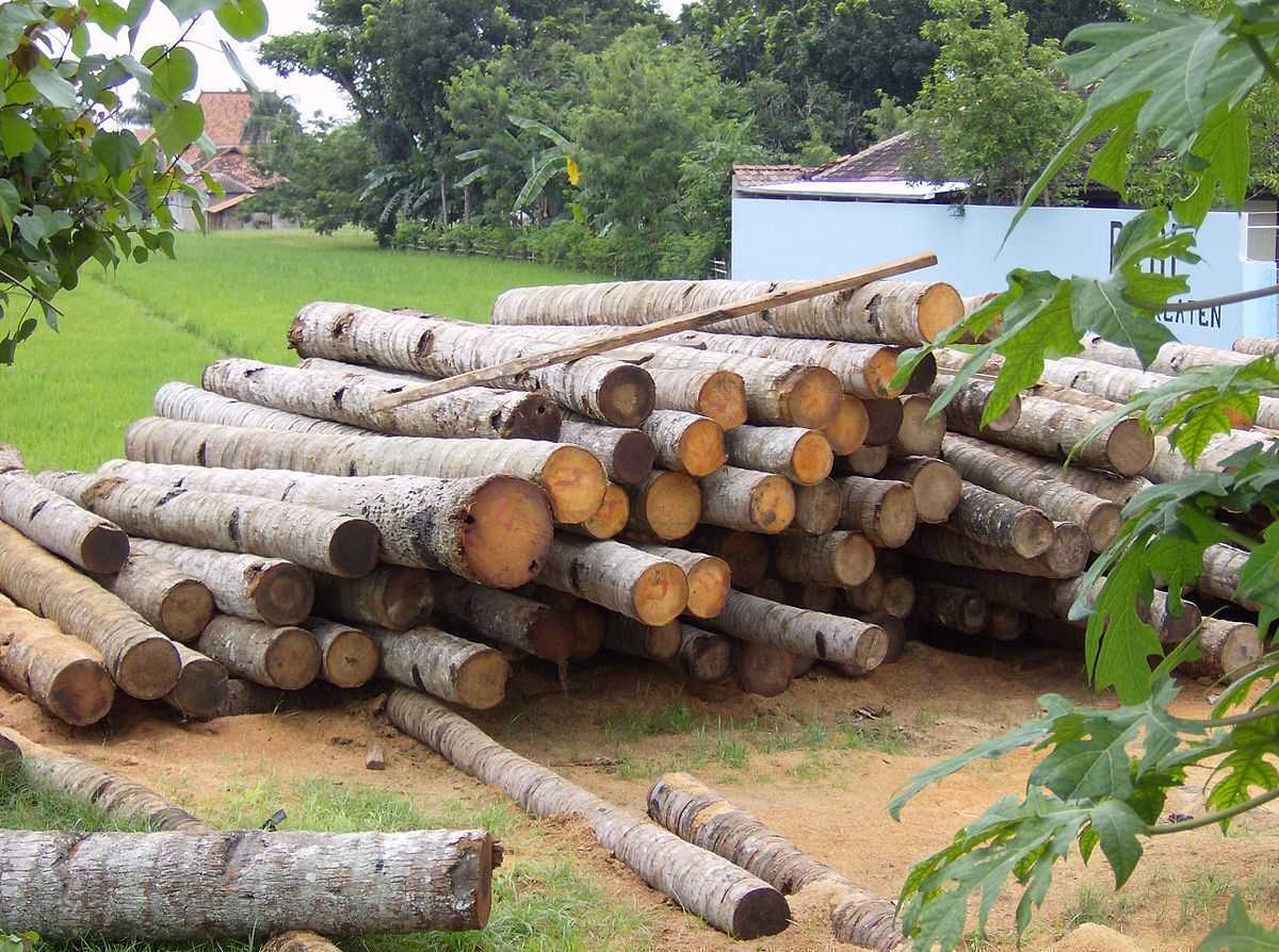 Gunaraththne Timber Products