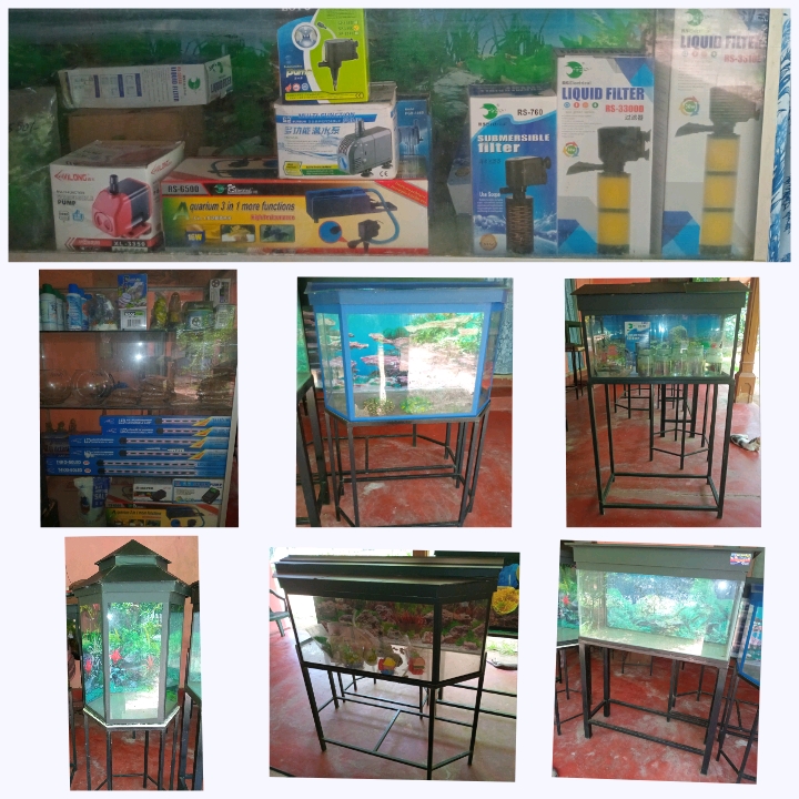 මින් රූසිරි මින් මැදුර (Min rusiri aquarium)
