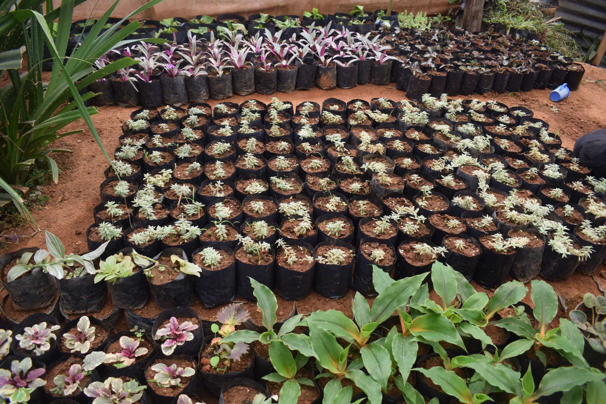 SUWAHAS FLOWER PRODUCTS