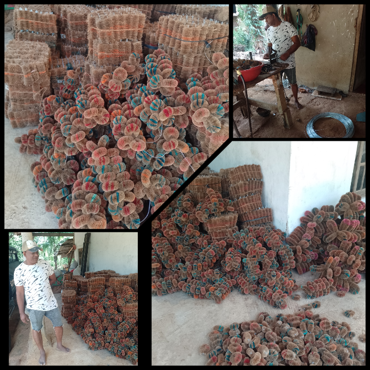 කොහු අාශ්රිත නිෂ්පාදන