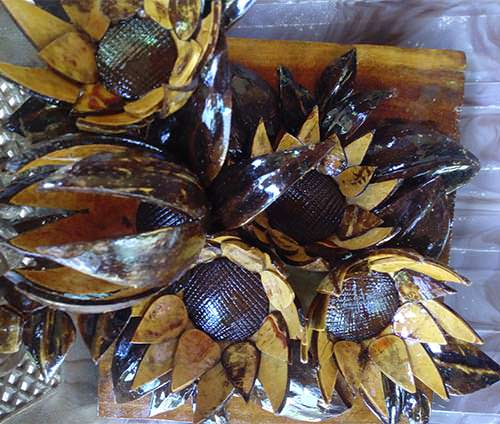 Nandasiri  Coconut Shell Creation