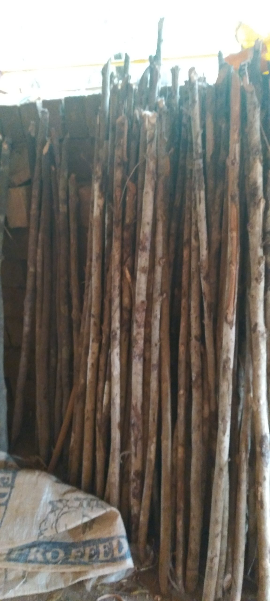 Radaliyadda