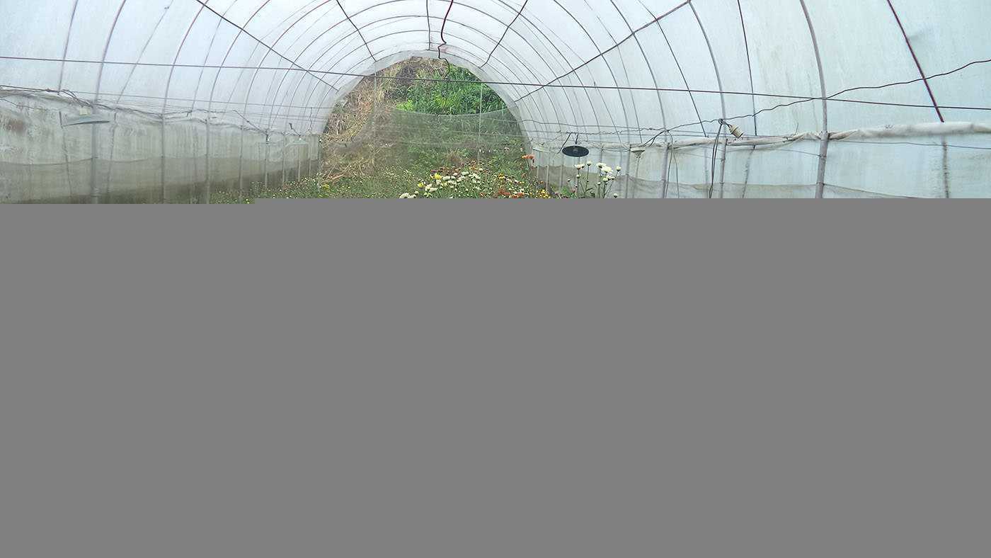 Blooms Agricultural Enterprises