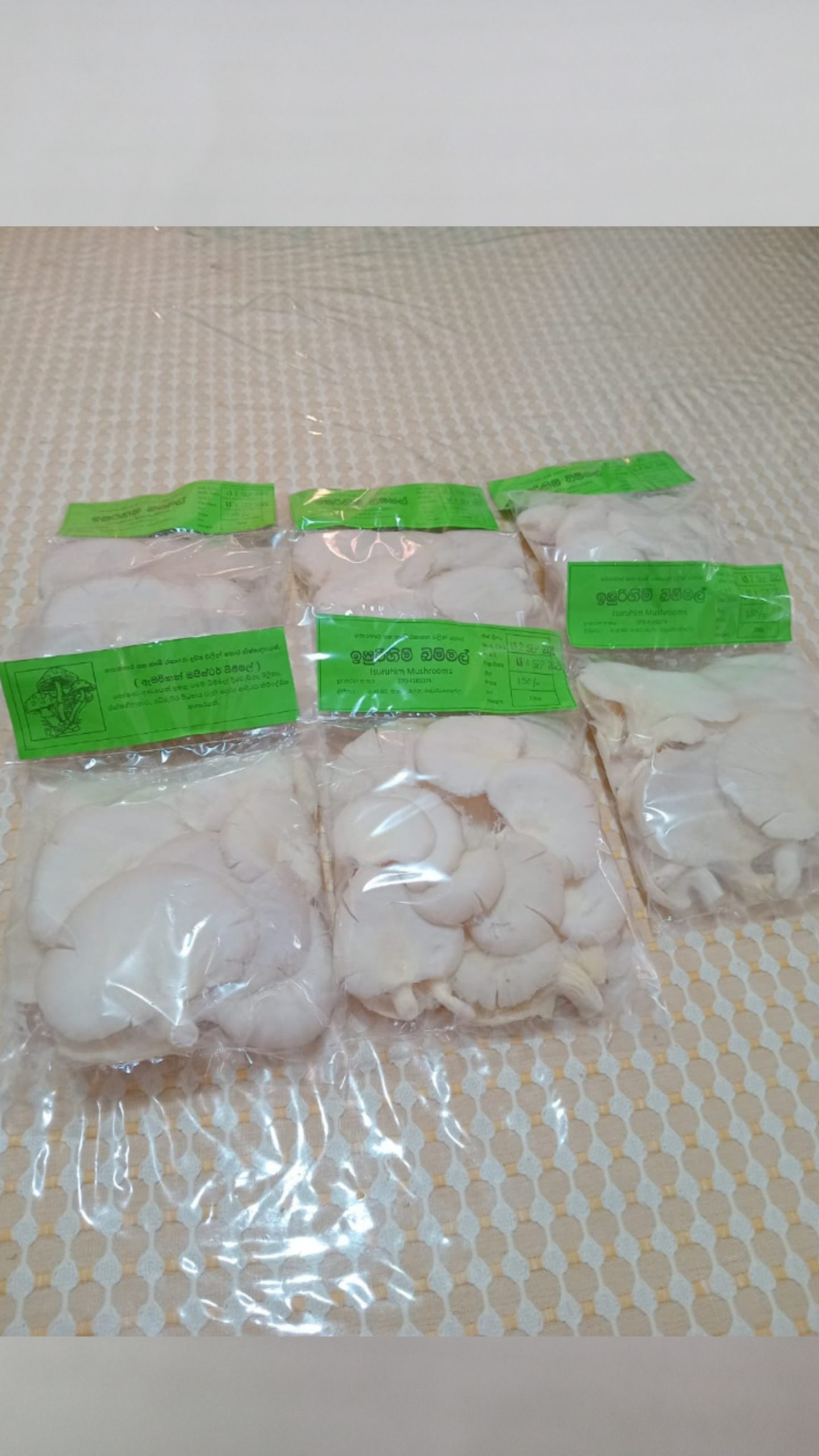 ඉෂුරිහිම් බිම්මල්