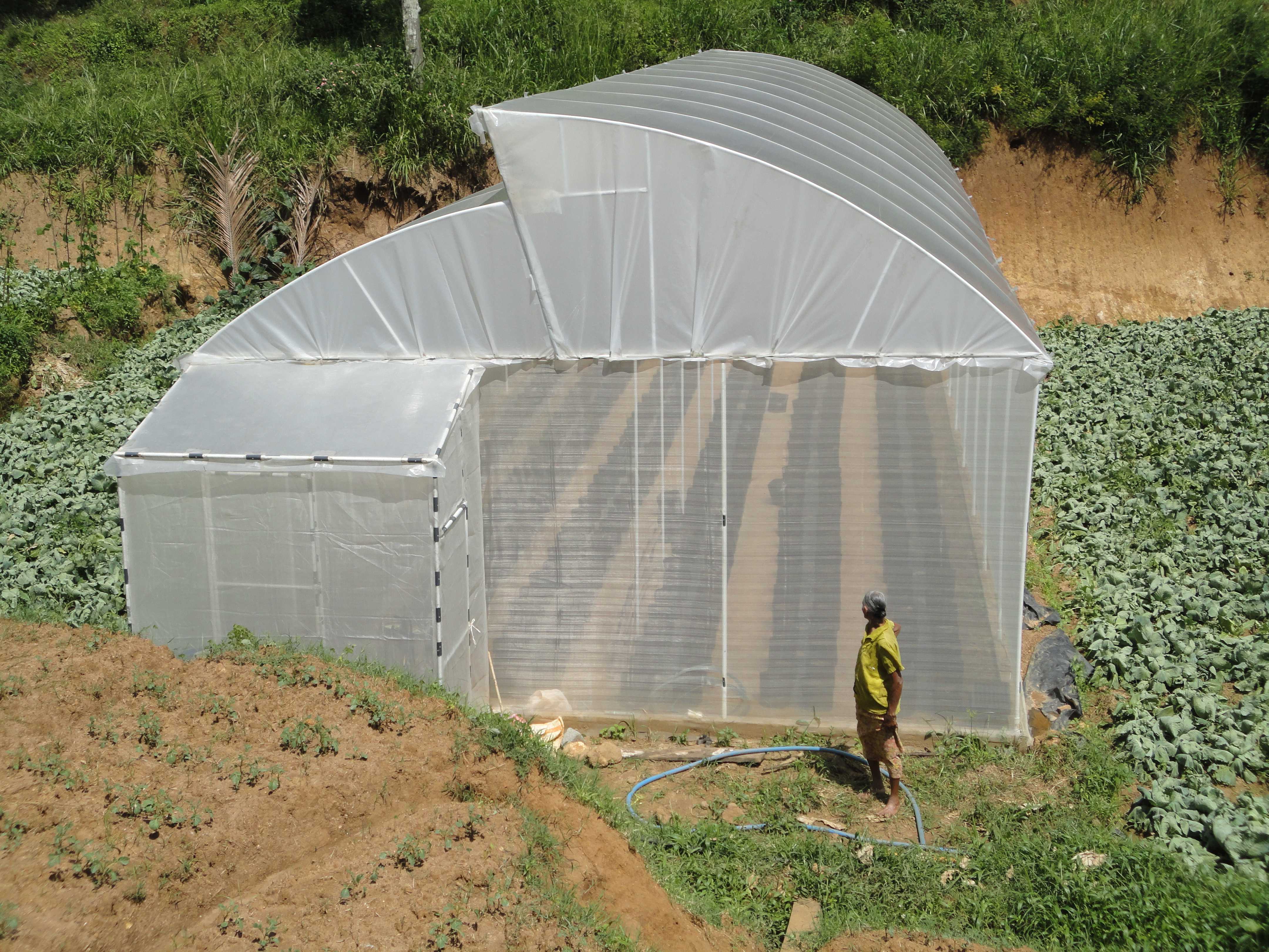 බණ්ඩාර හරිතාගාර නිෂ්පාදන