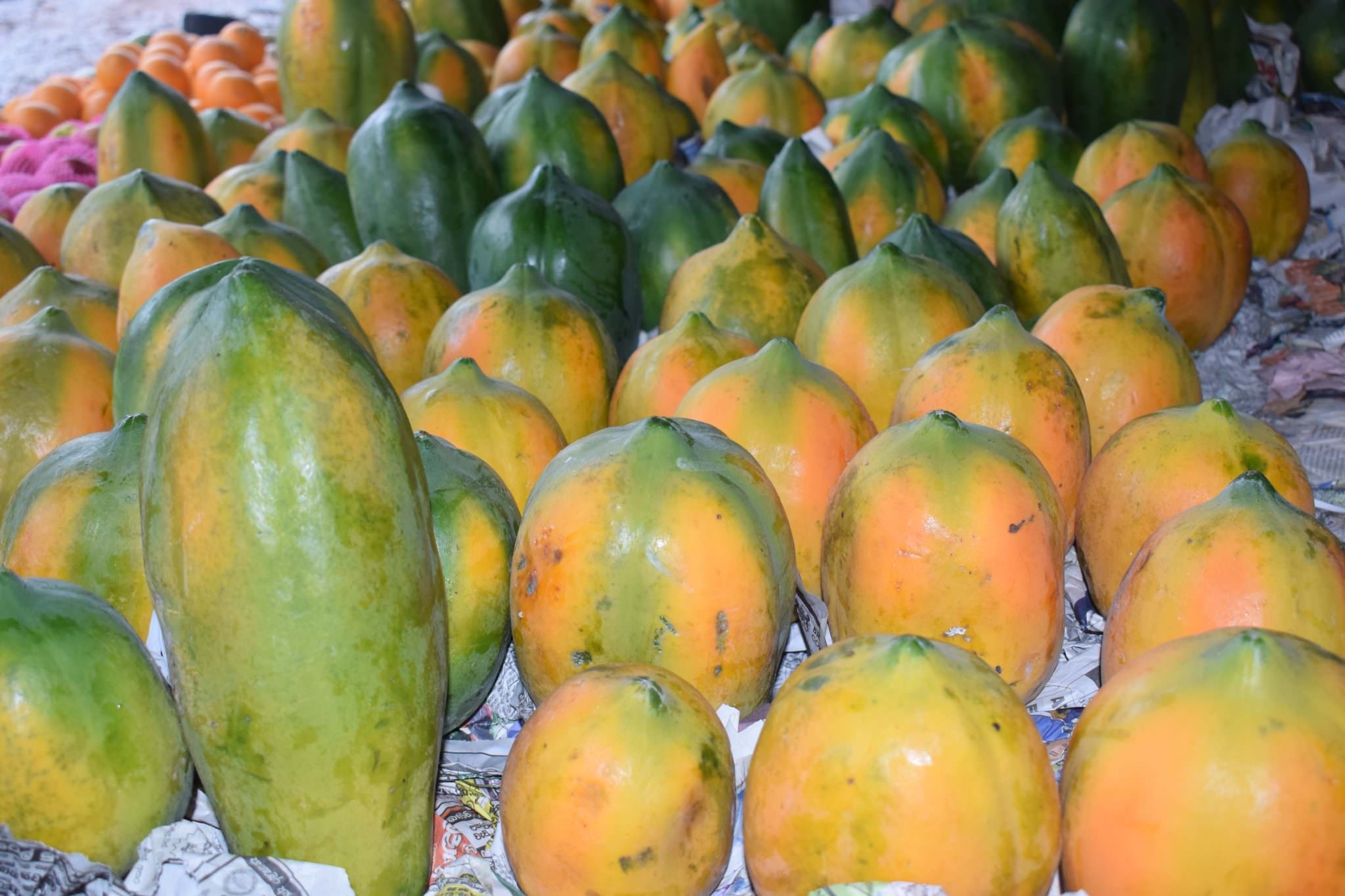 Suranga Farm