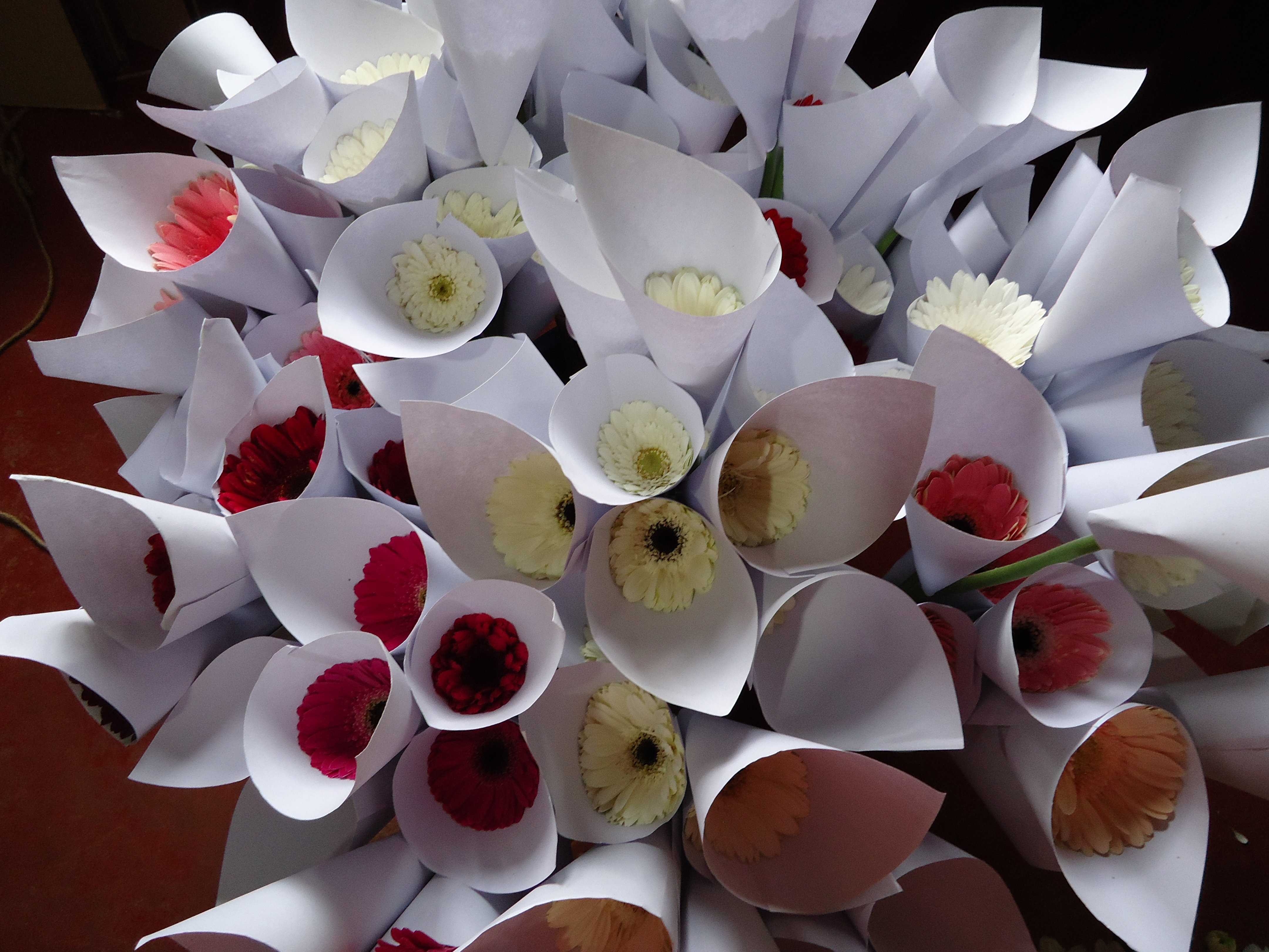 Isuru Flora