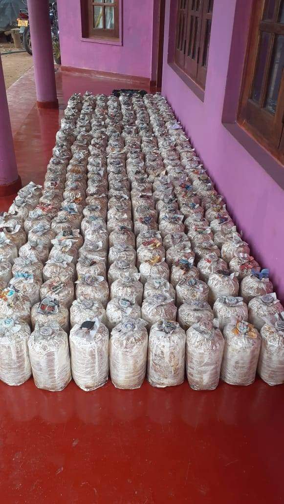 ඉමන්දී බිම්මල්