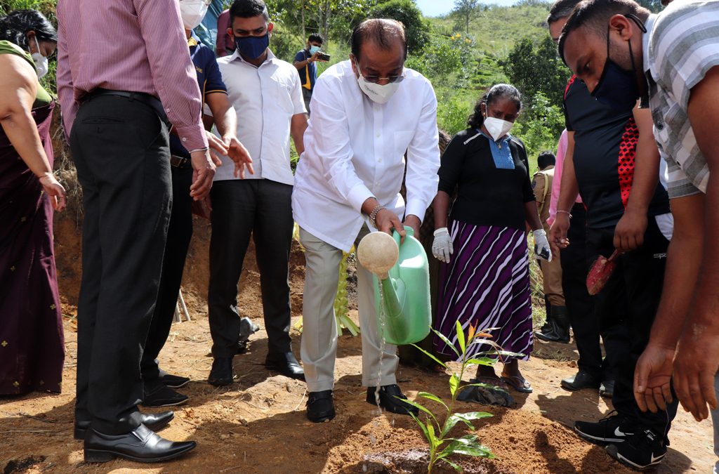 බදුල්ල දිස්ත්‍රික් ආපදා කළමනාකරණ ඒකකය විසින් සංවිධානය කරන ලද රුක් රෝපණ ආරම්භක වැඩසටහන