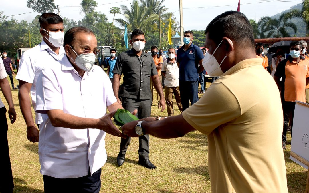 බදුල්ල මහ නගර සභා සීමාව තුල විශේෂ ඩෙංගු මර්දන වැඩසටහන