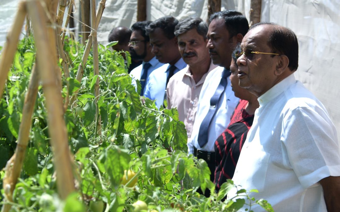 GAP-GOOD AGRICULTURAL PRACTICES