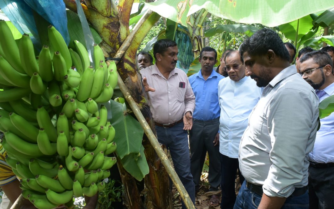 ඌව පළාත් කෘෂිකර්ම අමාත්‍යාංශය, කෘෂිකර්ම දෙපාර්තමේන්තුව – ක්ෂේත්‍ර අධ්‍යයන චාරිකාව